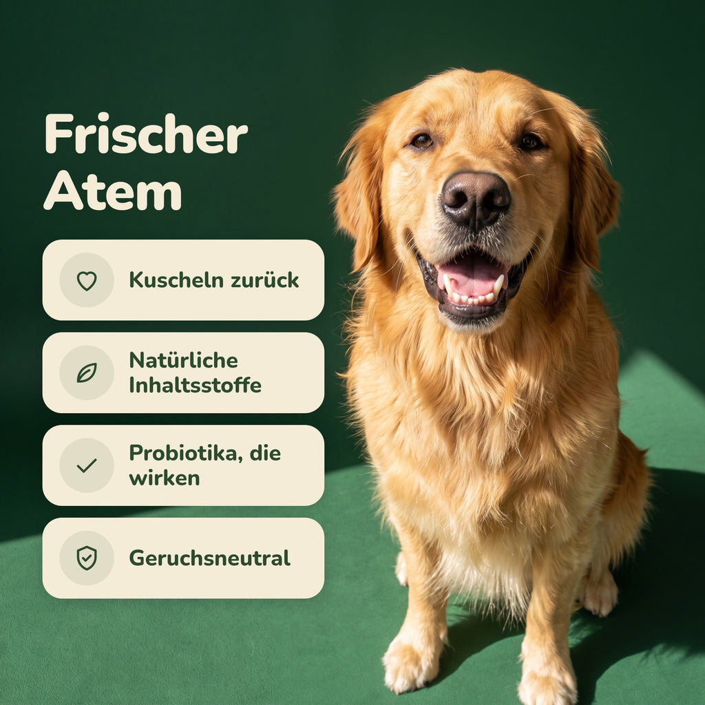 Frischer Atem beim Hund mit BiteFresh
