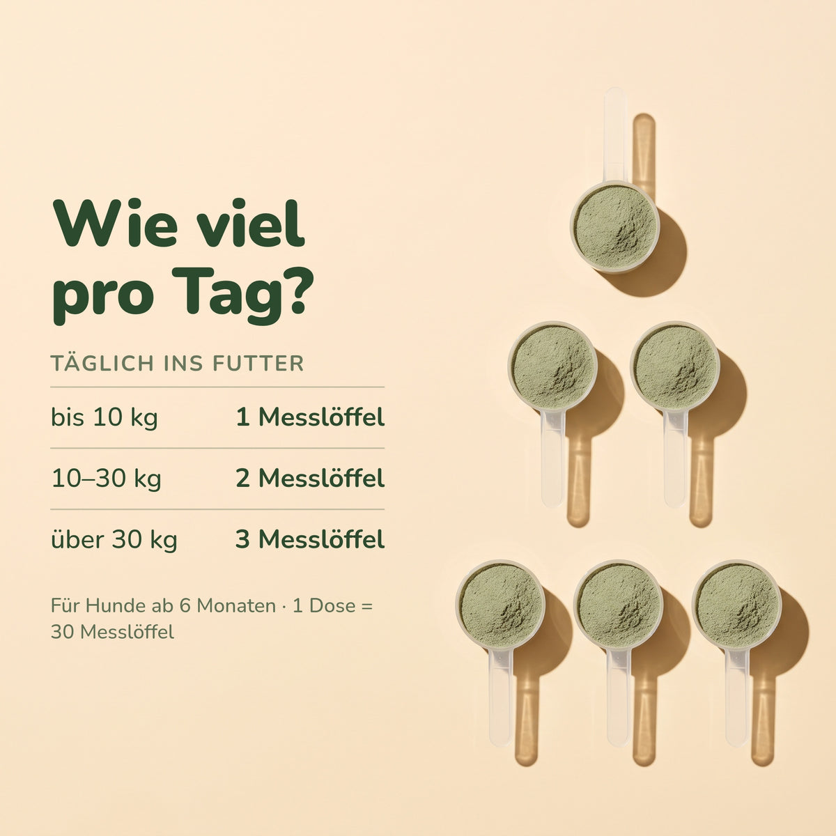 Dosierung mit dem Messlöffel